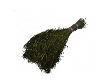 ����� ��������� ������.jpg