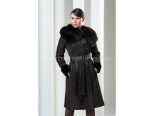 �������� �� ��������� D-81