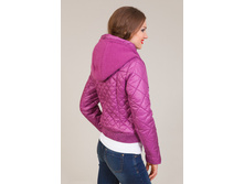 WP 3655 (C W3655.61) ������ ���������� ��� 74.97 �.�.