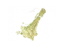 ����� �������������.jpg