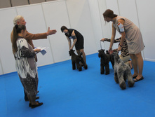1-IMG_3639.JPG