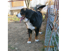 ������ 010.JPG