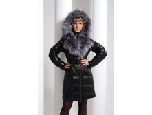 ������� ������� �-12