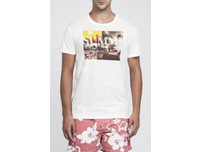 MF 8101 (T M8101.30) �������� 10,25 ��