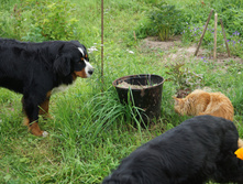 DSC02434.JPG