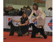 1-IMG_3518.JPG