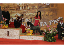 1-IMG_3561.JPG