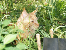 DSC02289.JPG