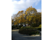 20141113_105956.jpg