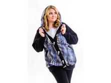 �-1651 ��������� ���������� (����)