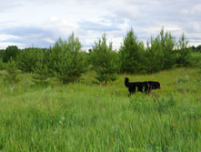 DSC02379.JPG