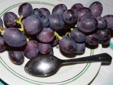 DSC02489.JPG