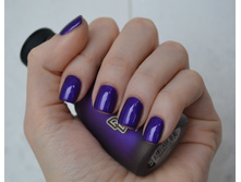 DL ������ 649 2.JPG