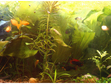 ���.80 �..JPG