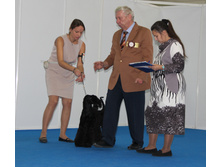 1-IMG_3606.JPG