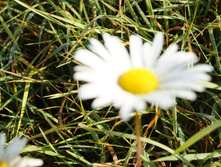 DSC02507.JPG