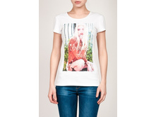 WF 4912 (C W4912.50) �������� 5,76 ��