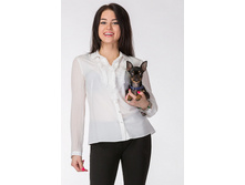 �����  990p.jpg