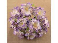 �������� 6��, 1��- 17���