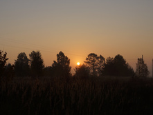 DSC02492.JPG