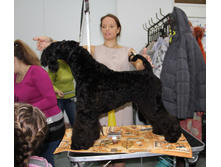1-IMG_3591.JPG