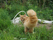 DSC02444.JPG
