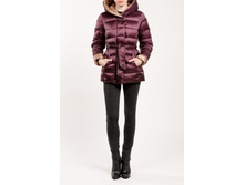 WN 3856 (T W3856.29/16) ������101.49 ��