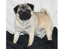 2014-11-02 13-27-29 - 0343.JPG