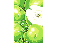 PO-C066 ������� ������ 20*30