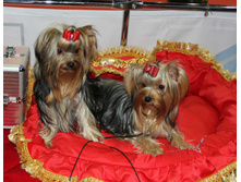 1-IMG_3567.JPG
