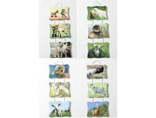 ������� ������ ���� 110918 182���.jpg