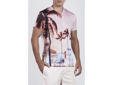 MF 8062 (T M8062.50) �������� 11,72 ��