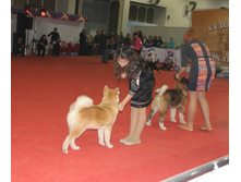 1-IMG_3697.JPG