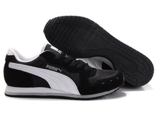 Puma #164.jpg