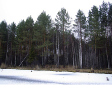 �� ����� � ���. ������