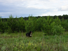 DSC02378.JPG