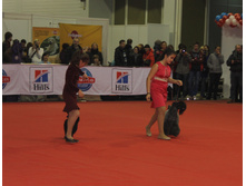 1-IMG_3557.JPG