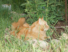 DSC02369.JPG