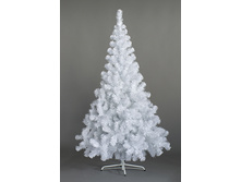 ��� ������������� "�������� ����"