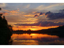 ����� �� �������web.jpg