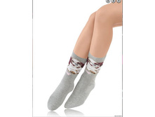 ����� ������� ������ SCHK-1486�.jpg