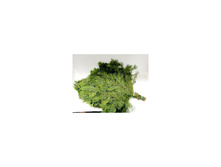 ����� �� �����.jpg