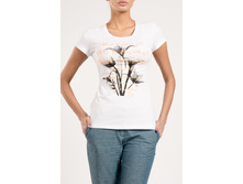 WF 8854 (C W8854.50) �������� 9,99 ��