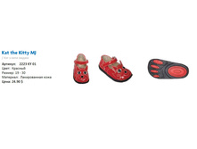 2223 KY 01 ������� , ���� 24,9$.jpg