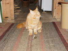 DSC02387.JPG