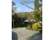 20141113_105731.jpg