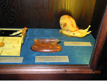 DSCN3134.jpg