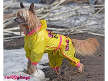 �������� 240 ���.jpg