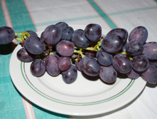 DSC02488.JPG
