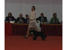 1-IMG_3700.JPG